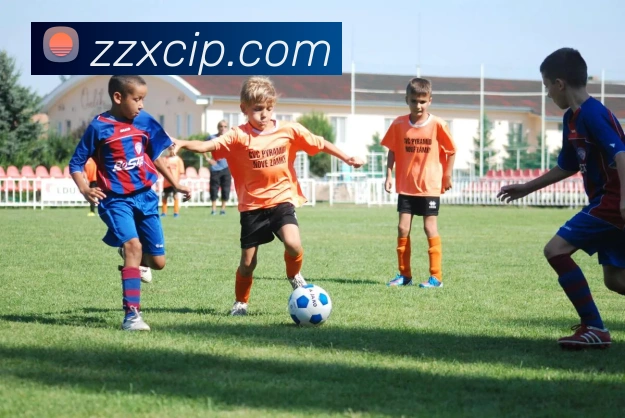 开云官方手机登录APP 体育赛事宣传图